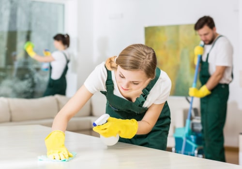 How A Professional House Cleaning Service Provider Can Keep Your Home And Chimney Spotless In Seattle?